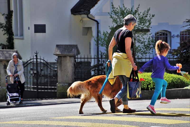 Urban Mindful Walks